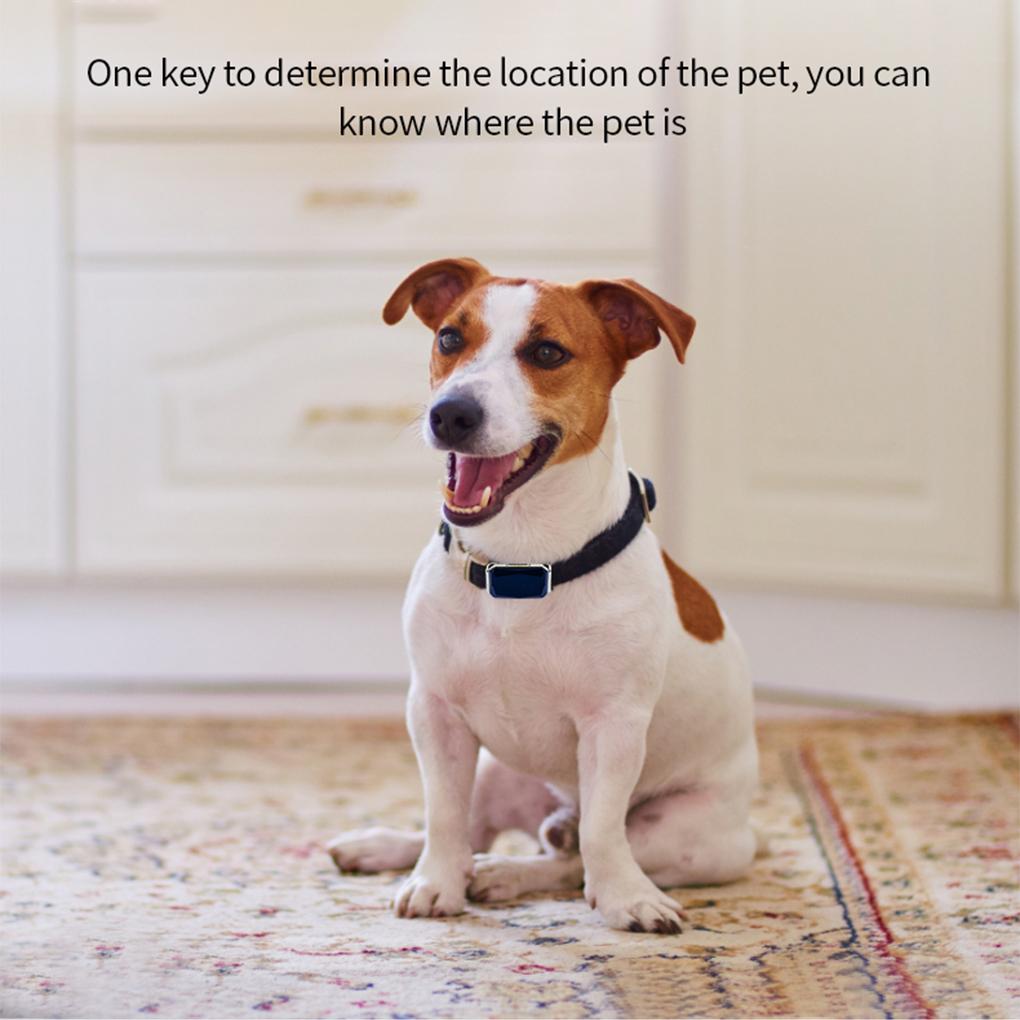 G PS Pets Mobile Control Tracking And Historical Trajectory Locator Multiplayer Security And Real-time Tracking Tracker