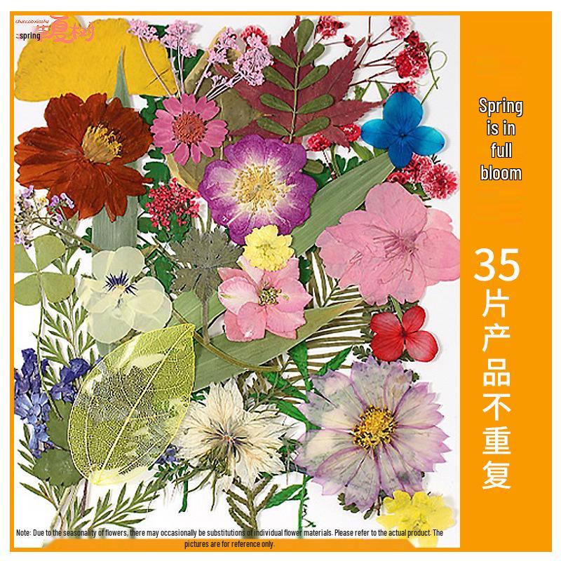 Handmade Pressed Flower Bookmark and Epoxy Sticker Pack with Real Leaf and Plant Specimens for DIY Face Makeup.