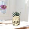 Unique Skull Silicone Planter Mold for DIY Resin Crafts and Unique Home Decor Ideal for Pen Holders or Flower Pots