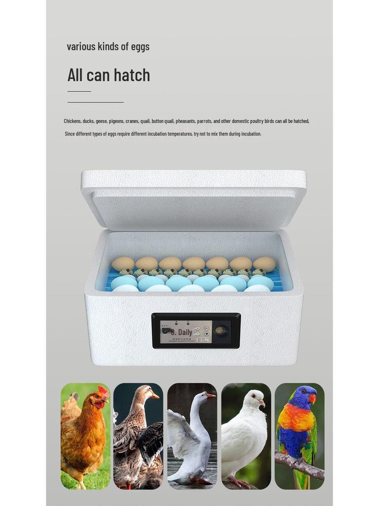 Weida Fully Automatic Small Incubator for Chicken, Duck, Goose, Pigeon, and Peacock Eggs