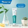 Yunnan Baiyao Probiotic Ice Lemon Toothpaste
