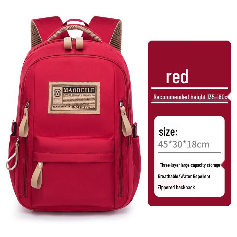 Lee Shen School Backpack