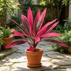 Yousheng Large Realistic Artificial Fern Dragon's Blood Tree Plants with Pink/Purple Leaves, UV Resistant Outdoor Fake Fern Plants for Garden, Patio,