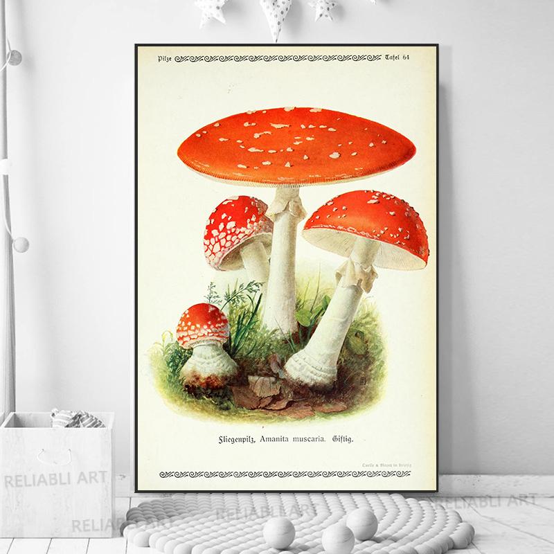 Vintage Mushroom Exemen Malba na plátně Starožitné umění na zeď Bylinné obrazy Vědecké plakáty a grafiky Dekor domácí kanceláře Cuadros