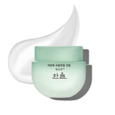 Pure Artemisia Watery Calming Cream 55mL Special Set (+45mL Refill)