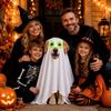Glow Eyes Pet Costume Outfit Breathable Fabric Funny Pet Apparel  Halloween Party