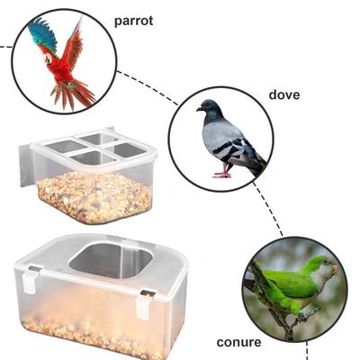 Oiseaux – Abreuvoirs et mangeoirs à oiseaux