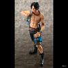 Figure One Piece DX10th Anniversary Fire Fist Escal D Ace Luffy Brother Toys Japan Anime Collectible Figurines PVC Model Toy