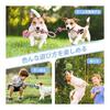 Fida Dog Toy Rope Set of 4 [100% Natural Cotton] Toys for Small and Medium Dogs, Chewing, Sturdy, Pet String Toy, Unbreakable, Brushing Teeth, Clean,