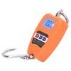 Digital Hanging Scale Portable 200kg Load Bearing Accurate Multifunctional Handheld Mini Hanging Scale with LCD Screen