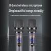SANSUI D08 8-inch Portable Outdoor KTV Speaker with Wireless Mic (CN version)