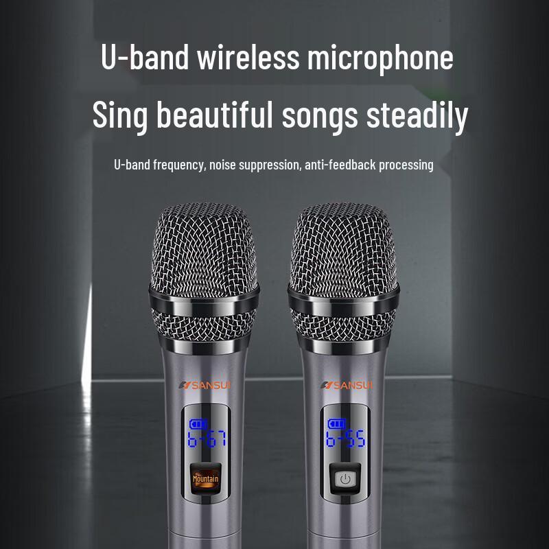 SANSUI D08 8-inch Portable Outdoor KTV Speaker with Wireless Mic (CN version)