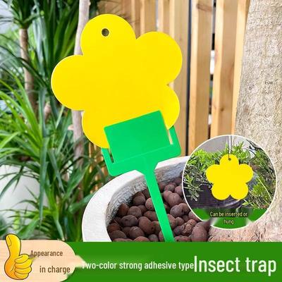 Yellow & Blue Double-Sided Sticky Insect Traps for Small Flies - Indoor Summer Use
