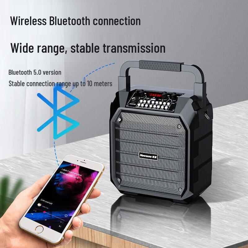 Newman K99 Portable Karaoke Speaker CN plug (adapter included)