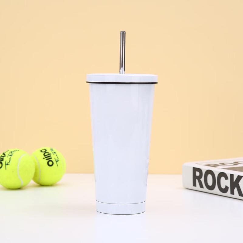 Portable Insulated Straw Mug