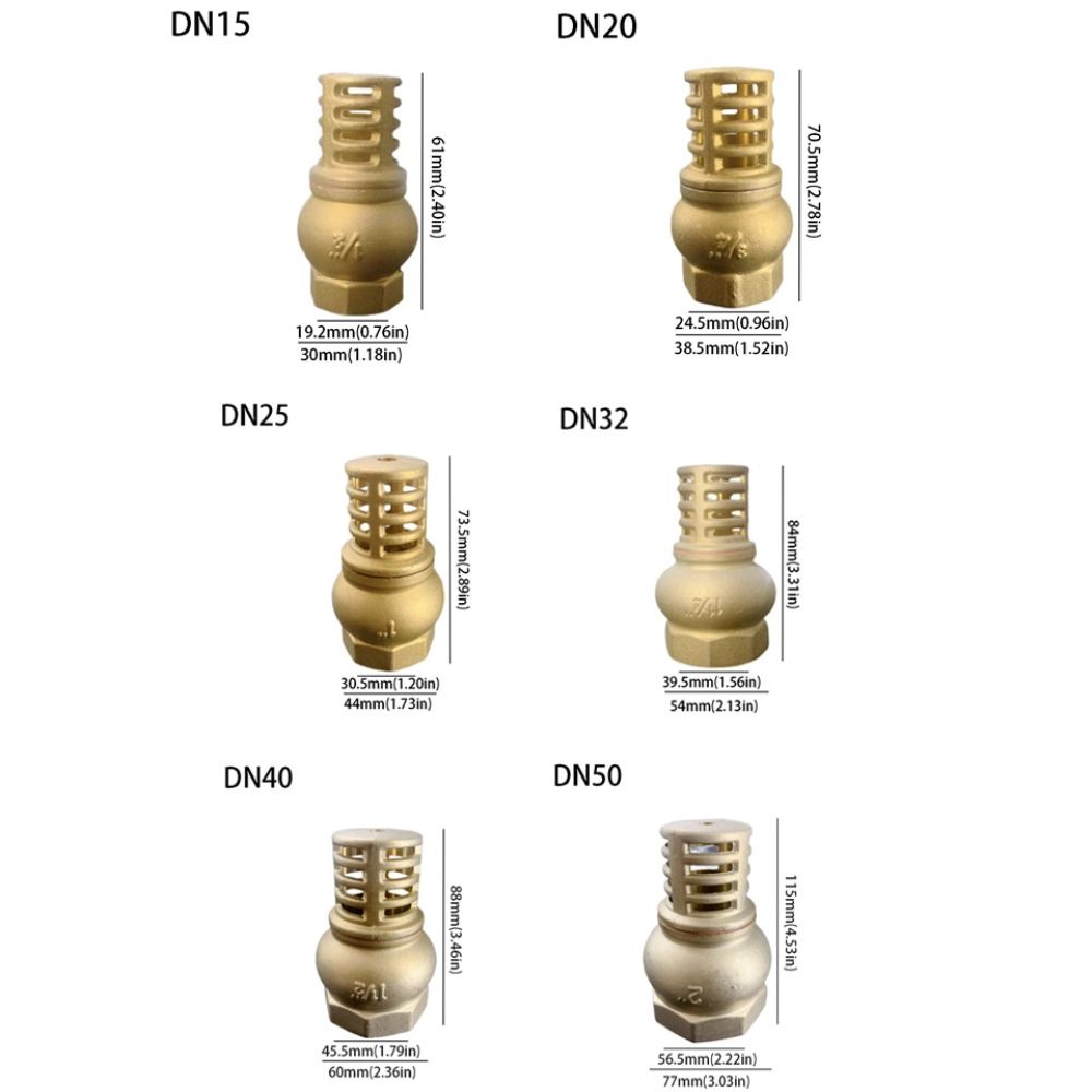 Strong Metal Brass Foot Valve Female Thread Check Valve Strainer Filter Complete Specifications