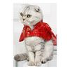 Costume Piccolo Cane Gatto Festival Cinese Vestire Mantello Vestiti per Fotografia Gatto