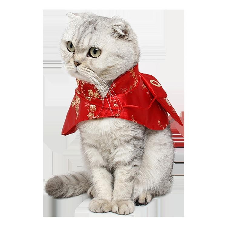 Costume Piccolo Cane Gatto Festival Cinese Vestire Mantello Vestiti per Fotografia Gatto