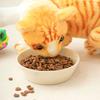 [Pet] Stubborn Ocean Fish Flavor 60 G