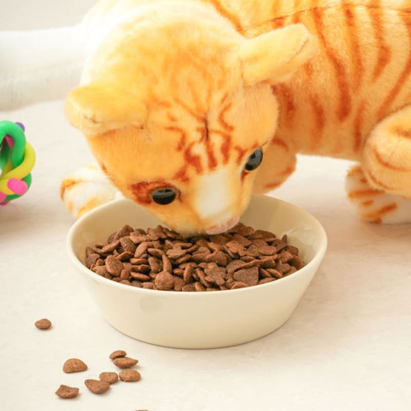 [Pet] Stubborn Ocean Fish Flavor 60 G