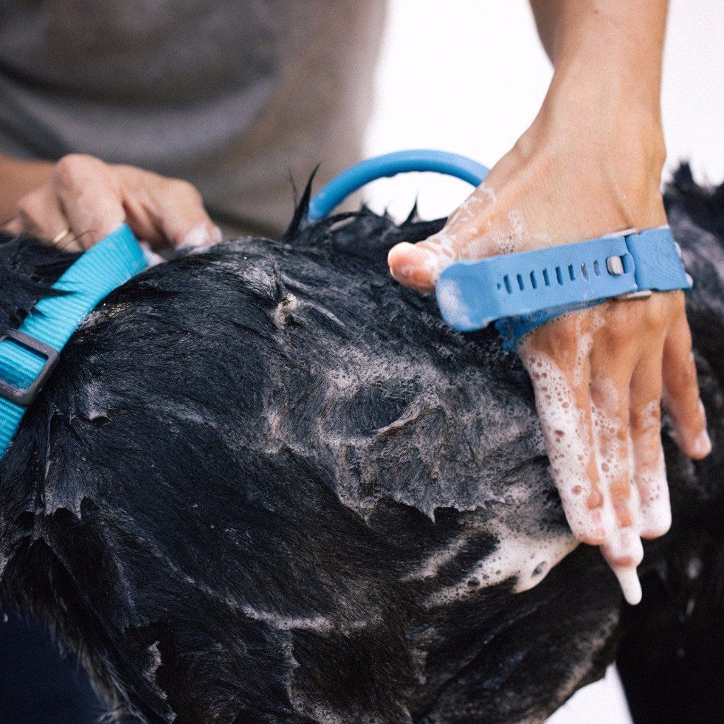 Pet Massage Design Clean Brush Nozzle Cat Bath Products Shower Brush Grooming Dog Brush
