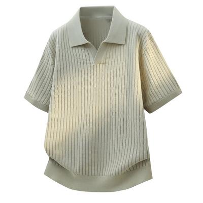 Short Sleeve Sweater Lapel Polo T-Shirt