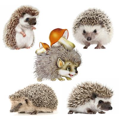 V1759 # Śliczny Jeż Naklejka na Samochód Vinyl Kalkomania Wodoodporna Dekoracja Naklejki Samochodowe