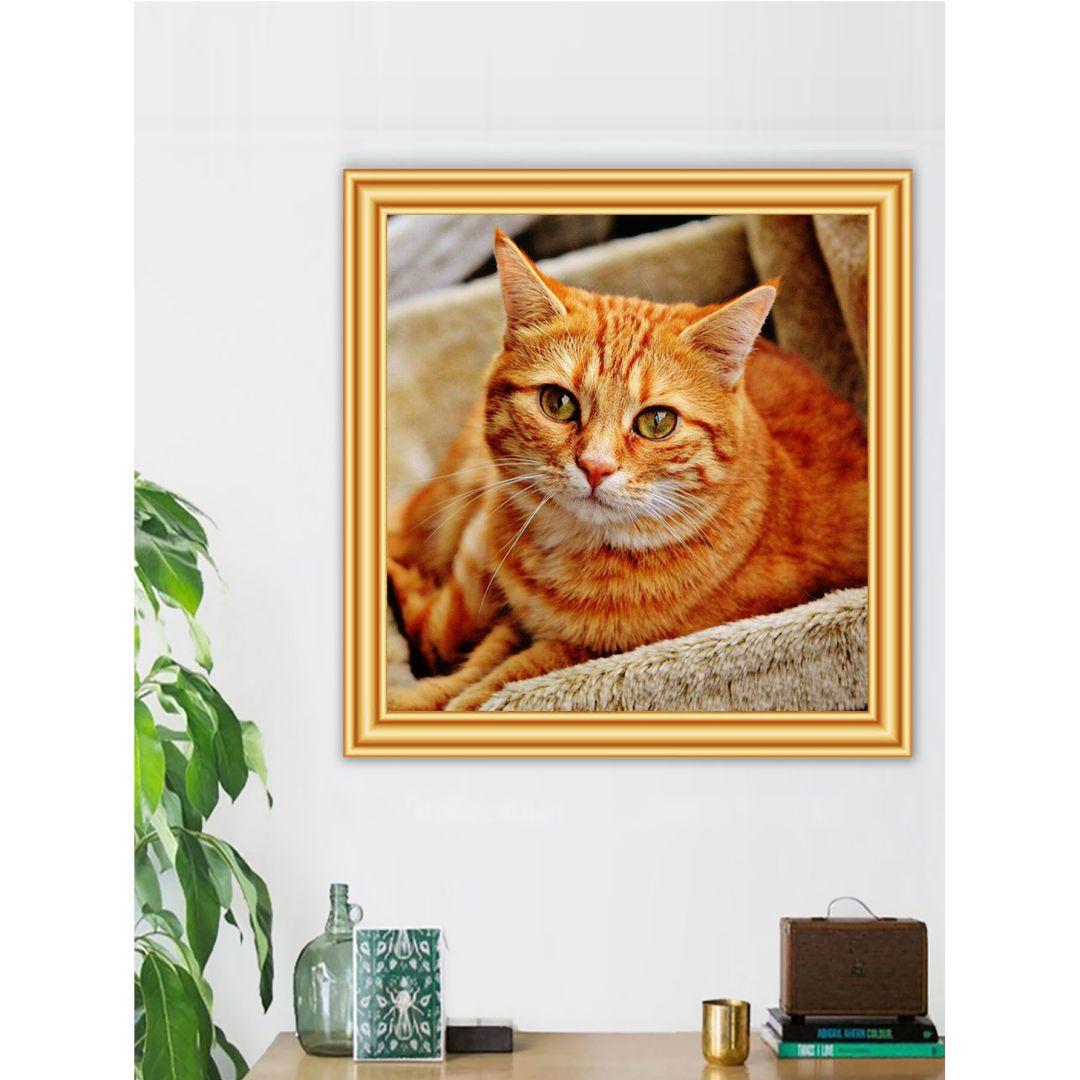 

LCOZX 30X30CM 5D DIY Full Square Drill Diamond Cross Stitch Мультфильм Кошка Pet Горный хрусталь Вышивка Мозаика Декор