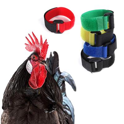 M-Modern-5PCS Rooster Noise Neck Strap, Chicken Supply Nylon Collar Anti‑Hook Rooster Collar Pet Chicken Supply Noise Neck Durab