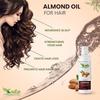 Pack Of 6 Carrier Oils-100ml Each (Castor Oil, Almond Oil, Sesame Oil, Apricot Oil, Coconut Oil, Olive Oil) -600ml,