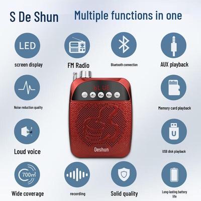 Amplificatore Vocale Portatile DESHUN Little Bee con Bluetooth Spina CN (adattatore incluso)