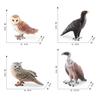 Detailed Static Pvc Bird Models Including Majestic Eagle Unique Vulture And Owl Designs