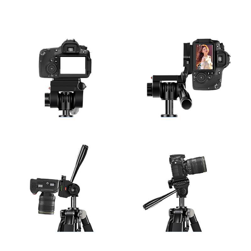 Universelles Handy-SLR-Kamera-Stativ mit Fülllicht für Außenfotografie und Live-Übertragungen
