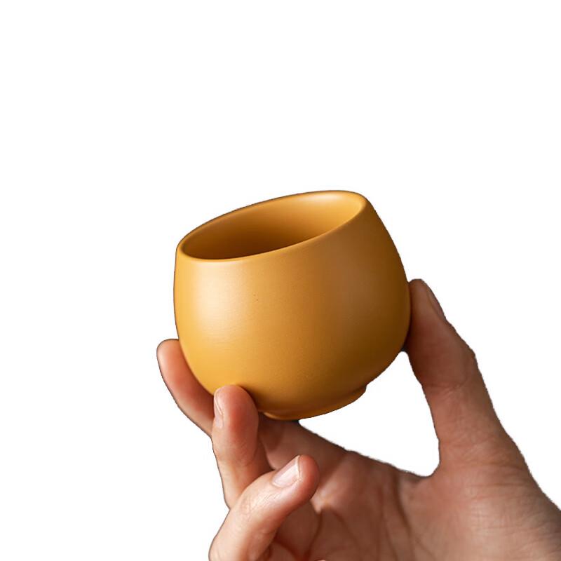 Tao Ding Xuan Golden Duan Ni Zisha Teapot Gift Set