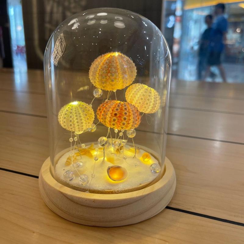 DIY Luminous Sea Urchin Night Light Kit - Birthday Gift for Girlfriend