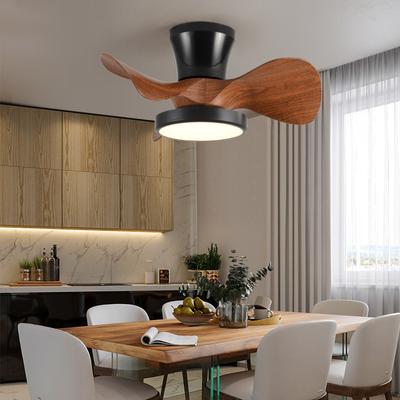 21 Inch 6-Speed Adjustable DC Motor Ceiling Fan Lamp Bedroom Dining Room Patio Lighting Ceiling Fan Quiet Ceiling Fan Light