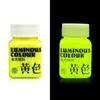 Glow in the Dark Paint,Acrylic Paint for Decorations,Art Painting Rich Pigments