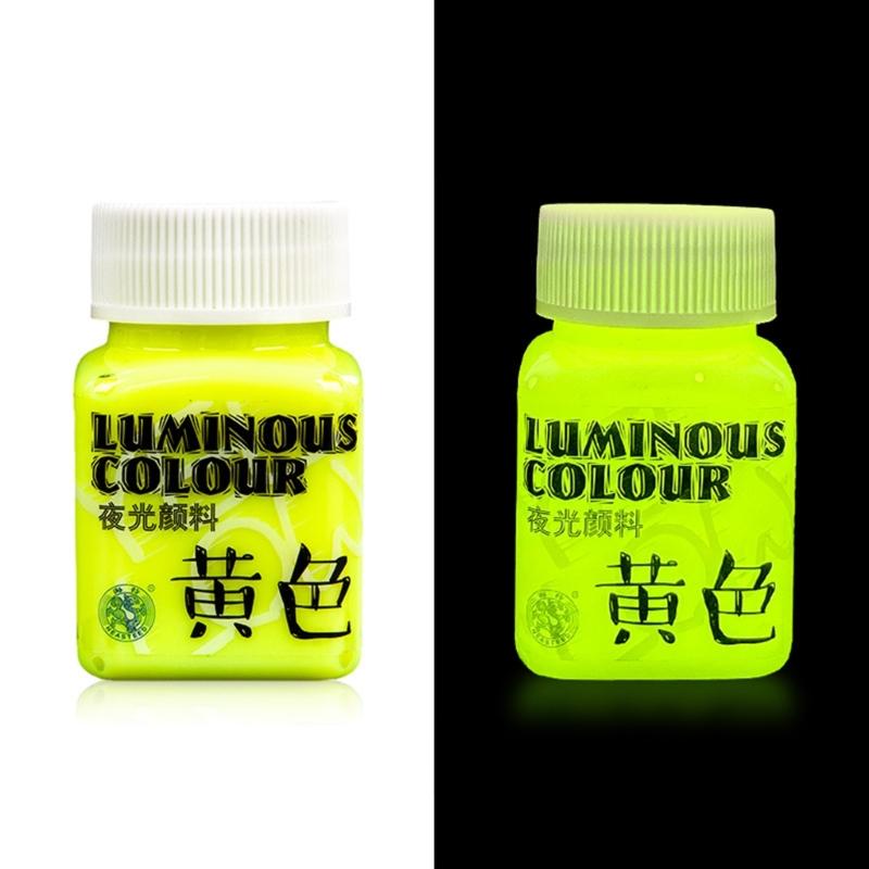 Glow in the Dark Paint,Acrylic Paint for Decorations,Art Painting Rich Pigments