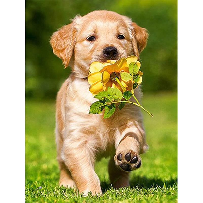 Dog DIY 5D Diamond Painting Dog Full Round Rhinestones Animal Diamond Embroidery Cross Stitch Kit Handmade Gift Home Decor