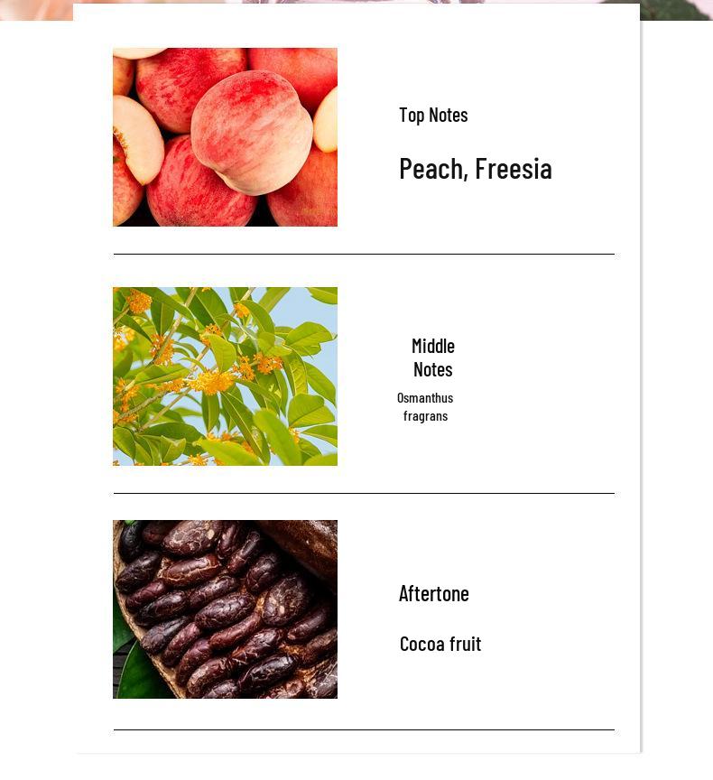 100ml Women's Perfume: Fresh, Long-lasting Oriental Floral Fragrance