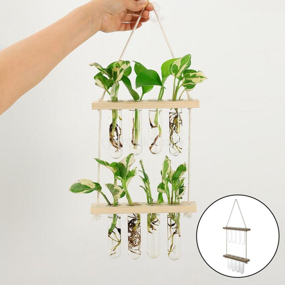 Retro Wood Frame Vase Wall Hanging Transparent Glass Vase Glass Planter Plant Vase  Office