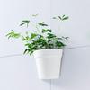 Home Wall Flower Pot Hanging Plastic Wall Planter Basket Desktop Table Floor Garden Office Home Decor