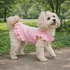 Lotus Leaf Edge Pet Base Dress Lover Pattern Solid Color Dog Skirt Shirts Soft Comfortable Pet Princess Dresses Pet Show