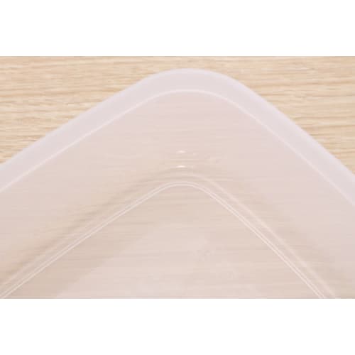 Lastro Snack Case, Large, 1.19L, B-1805, 031098