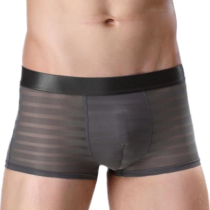 1Pc Men Panties Nylon Solid Color Sheer Mesh Pouch Lingerie Boxer Sexy Underwear Briefs