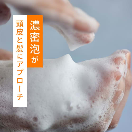 Rohto Pharmaceutical Prory Moist Repair Shampoo Hair Regeneration Scalp Care Swell Damage Care  Body/450ml