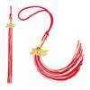 Borla para birrete de graduación con dije de 2025, disponible en varios colores, estilo con bloques de color, 40 cm de largo, para la temporada de graduación escolar.