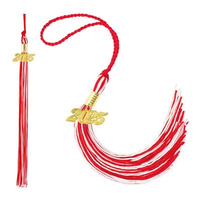 Borla para birrete de graduación con dije de 2025, disponible en varios colores, estilo con bloques de color, 40 cm de largo, para la temporada de graduación escolar.