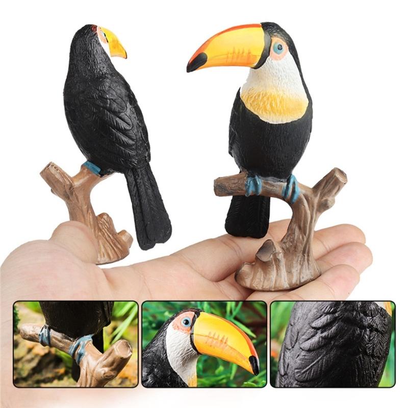Realistic Toucan Figure Observation Display Static Model Statue Bird Figurine Playhouses Layout Kids Basket Stuffings