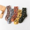5 Pairs of New Women's Autumn and Winter Thickened Leopard Print Warm Rabbit Wool Mid Calf Socks
